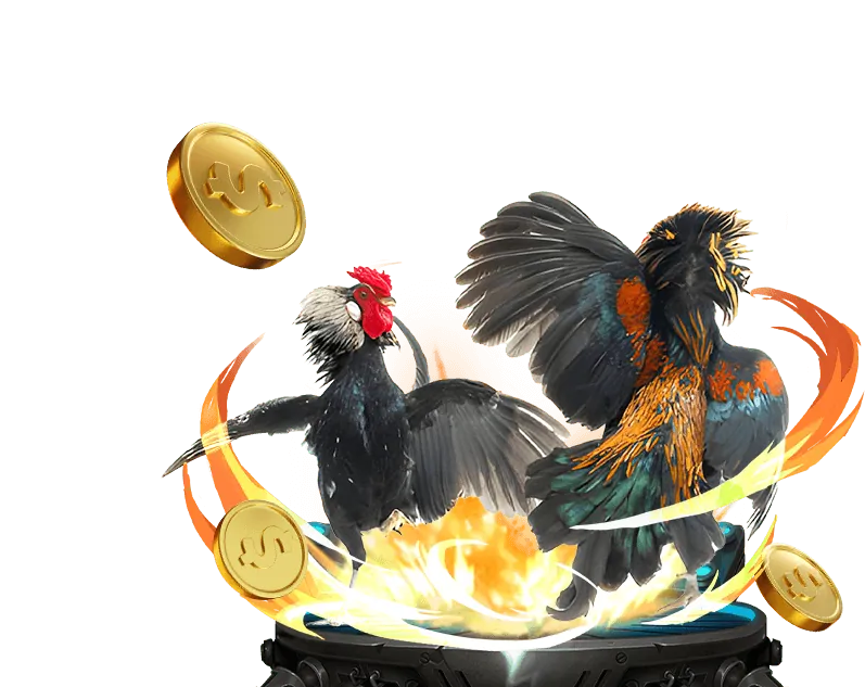 Hoàn trả hàng ngày MCW Casino